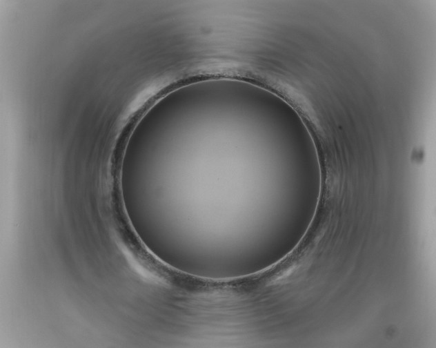 X0000092040674200709191101