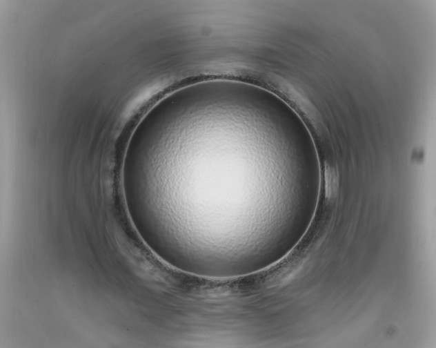 X0000092040675200709191101