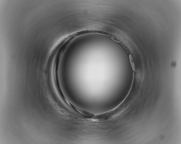 X0000092040676200709191101