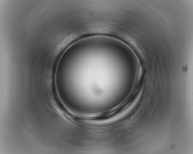 X0000092040677200709191101