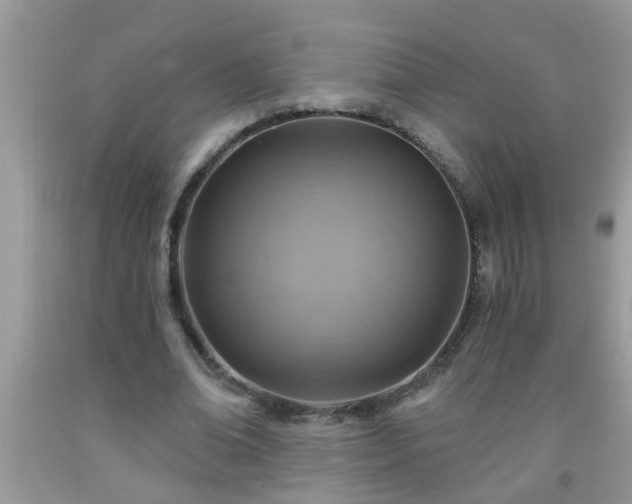 X0000092040678200709191101