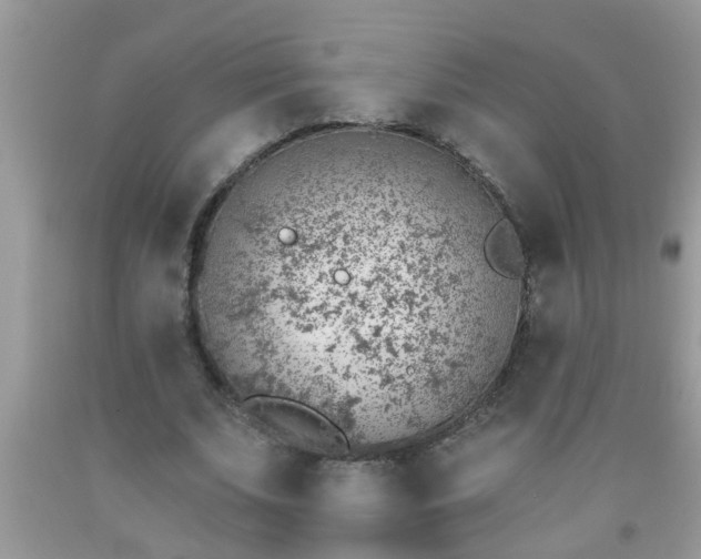 X0000092040679200709191101