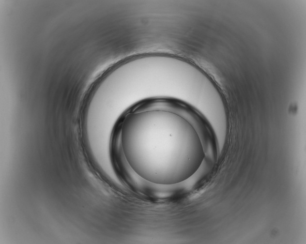 X0000092040680200709191101