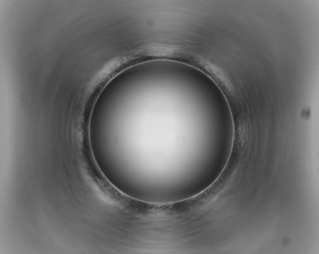 X0000092040682200709191101