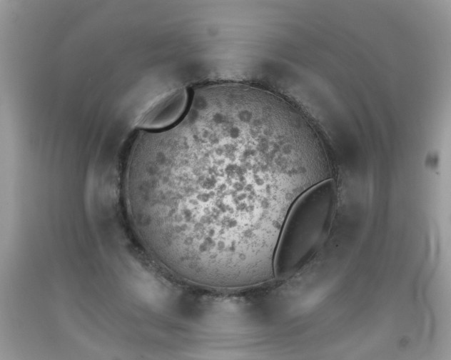 X0000092040683200709191101