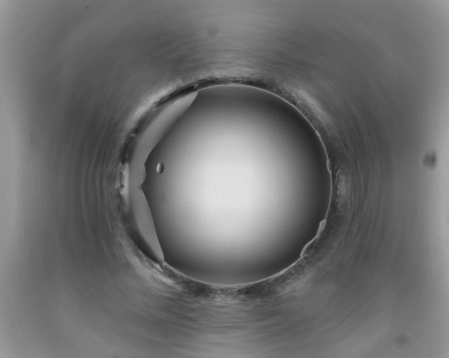 X0000092040684200709191101