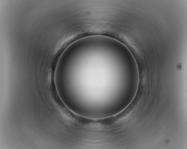 X0000092040685200709191101