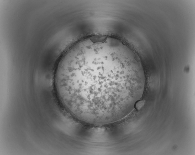 X0000092040687200709191101