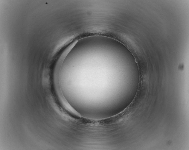 X0000092040688200709191101