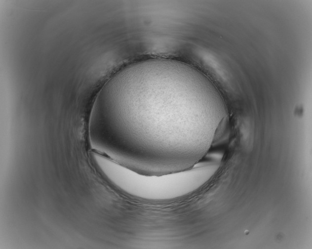 X0000092040689200709191101