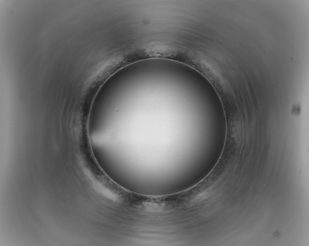 X0000092040690200709191100