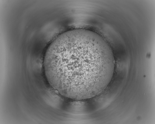 X0000092040691200709191100