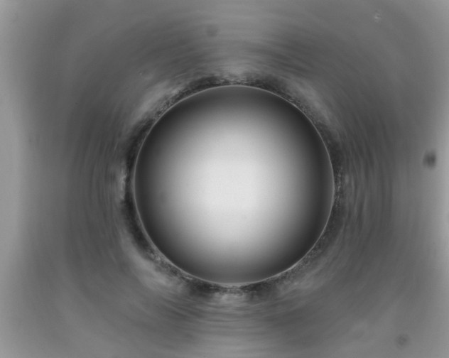 X0000092040694200709191100