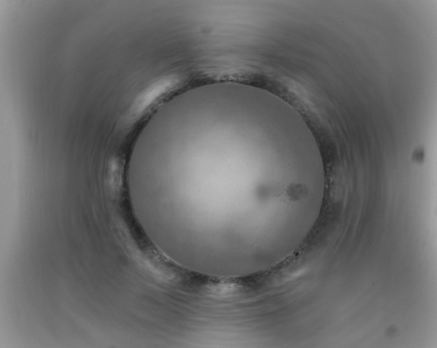 X0000092040695200709191100