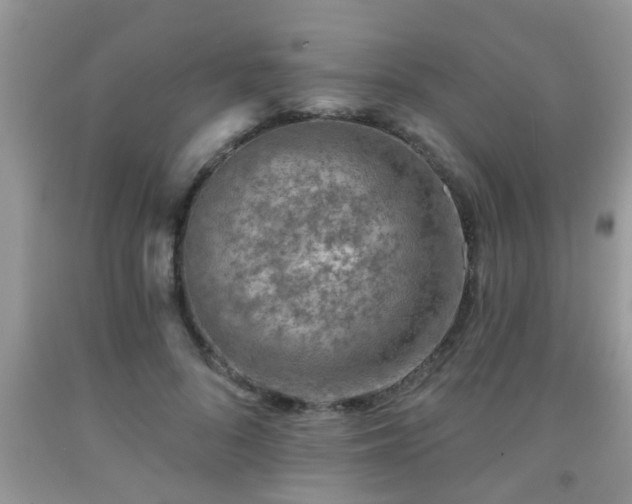 X0000092040696200709191100