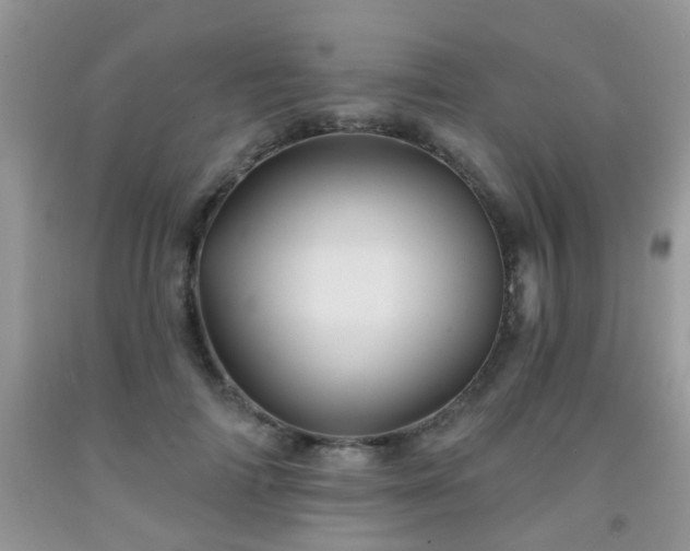 X0000092040698200709191100