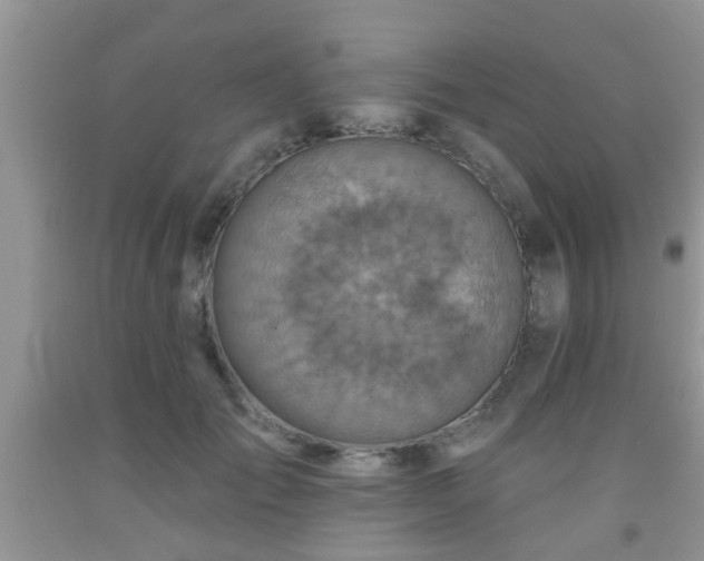 X0000092040701200709191100