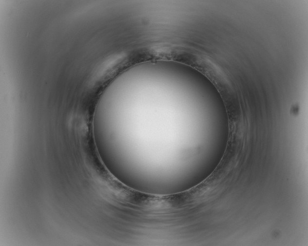 X0000092040702200709191100