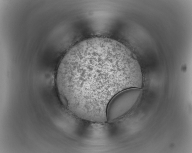 X0000092040703200709191100