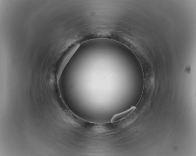 X0000092040704200709191100