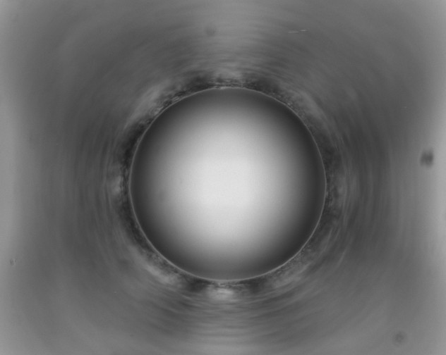 X0000092040706200709191100