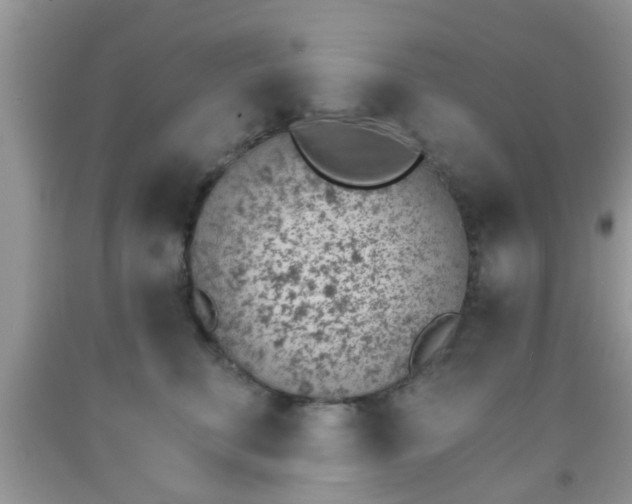 X0000092040711200709191100