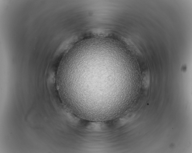 X0000092040713200709191100