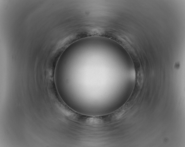 X0000092040714200709191100