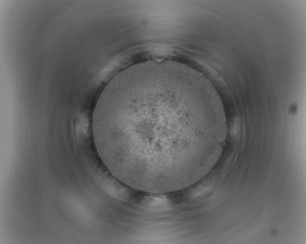 X0000092040715200709191100