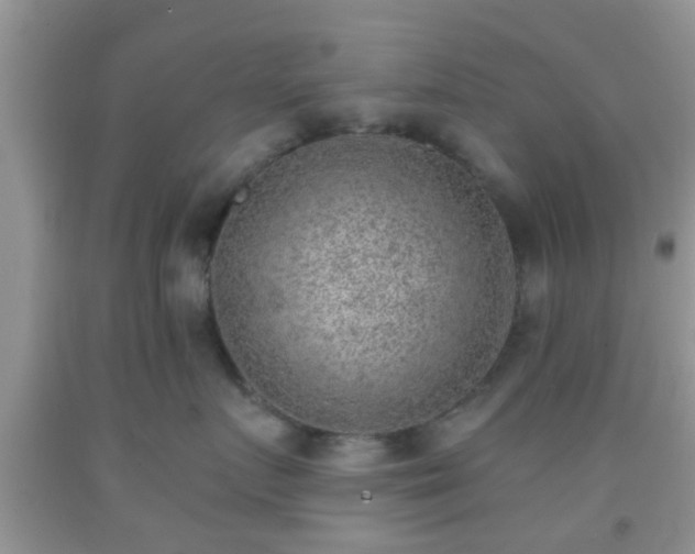 X0000092040719200709191100