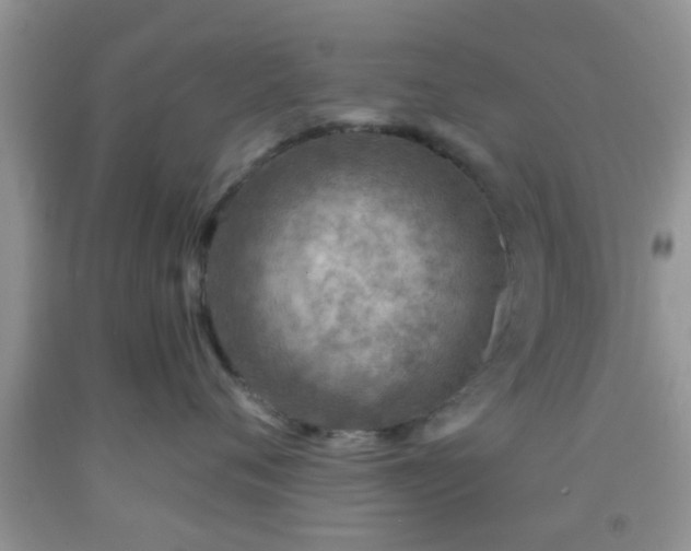 X0000092040720200709191100