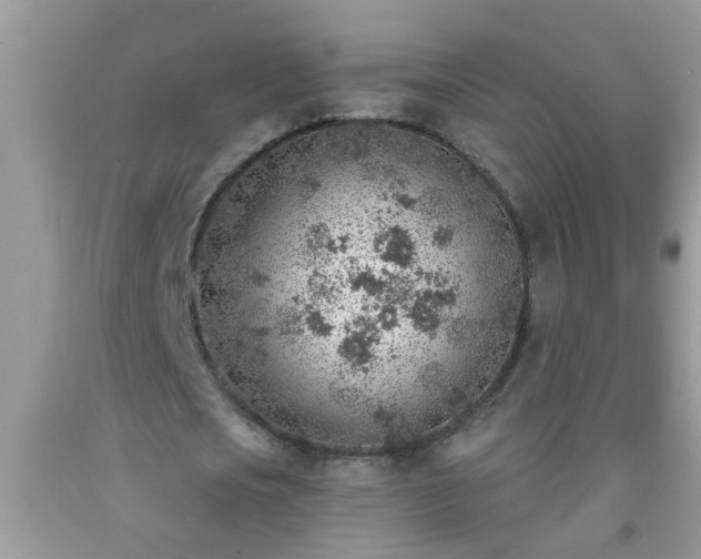 X0000092040721200709191059