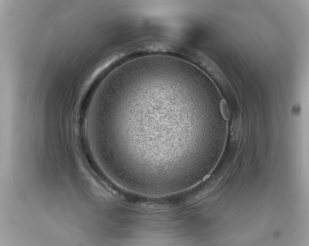 X0000092040722200709191059