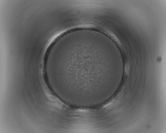 X0000092040724200709191059