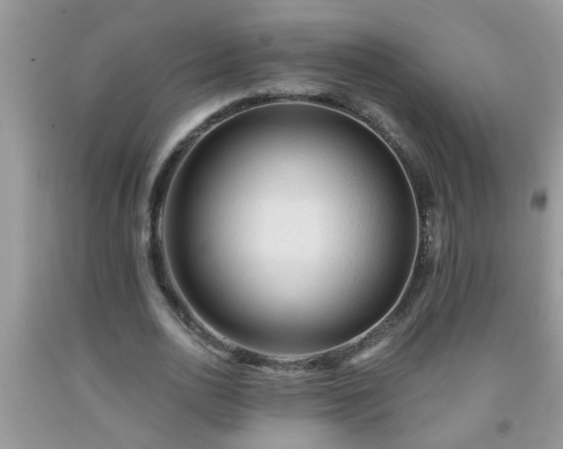 X0000092040726200709191059