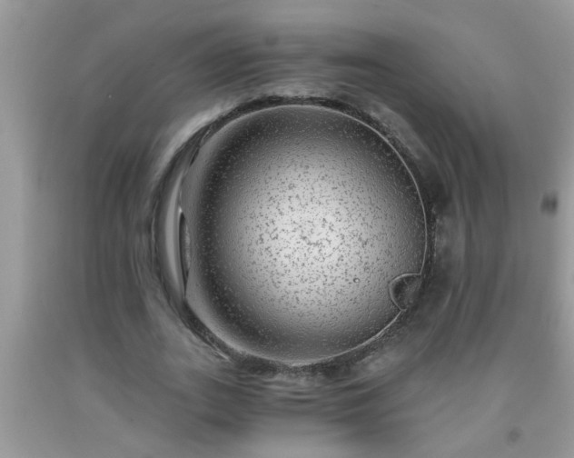 X0000092040727200709191059