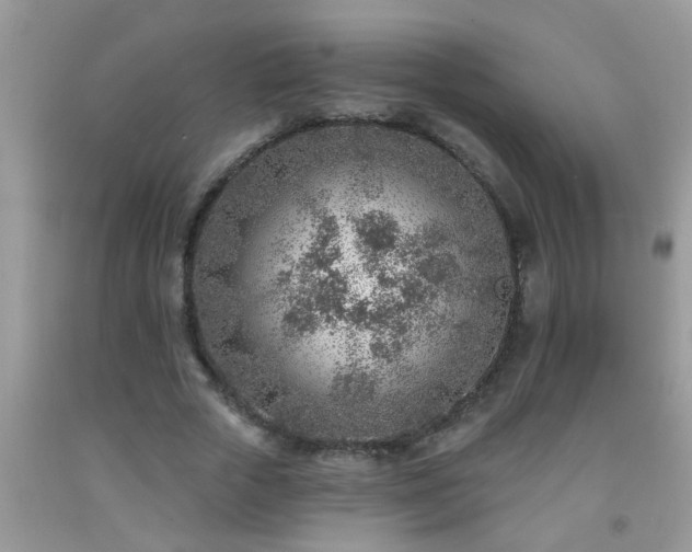 X0000092040729200709191059