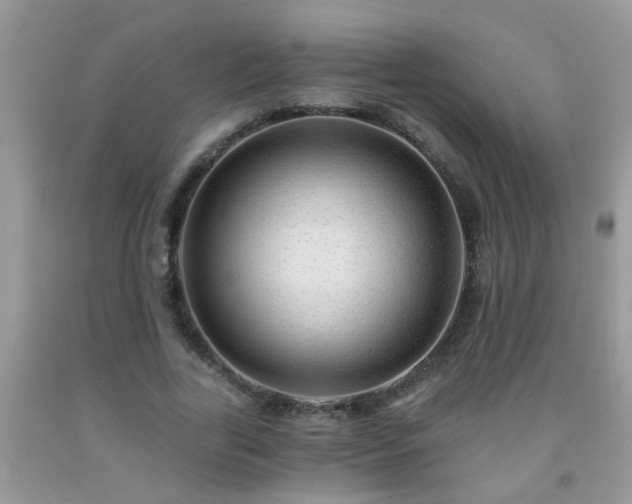 X0000092040731200709191059