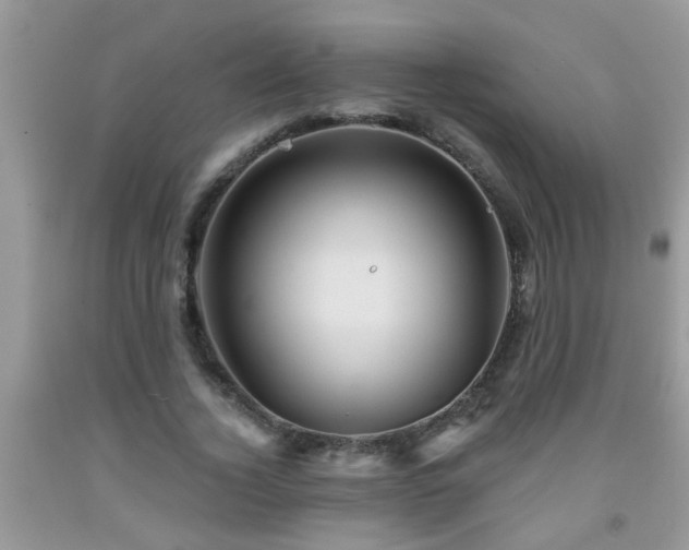 X0000092040732200709191059