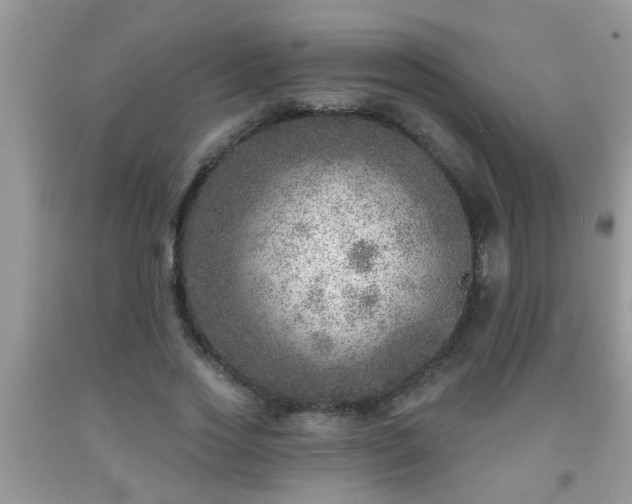 X0000092040733200709191100