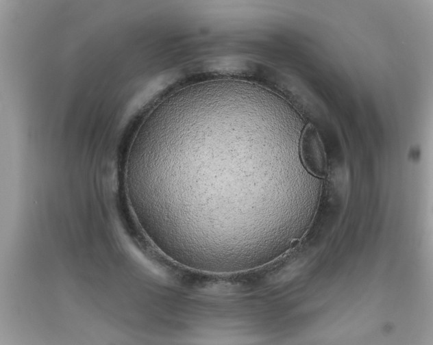 X0000092040734200709191100