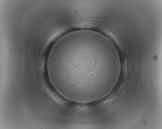 X0000092040735200709191100