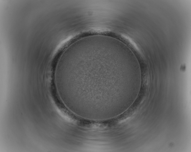 X0000092040736200709191100