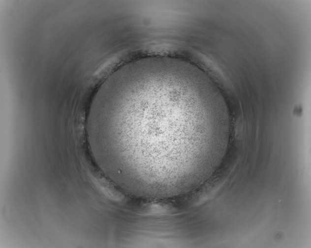 X0000092040737200709191100