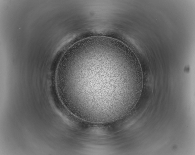 X0000092040738200709191100