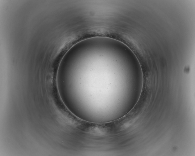 X0000092040739200709191100