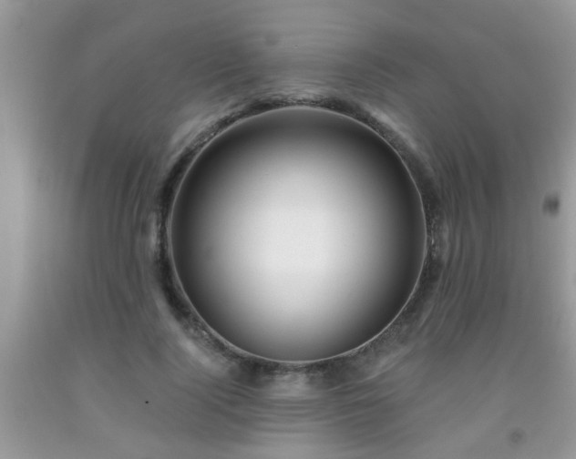 X0000092040740200709191100