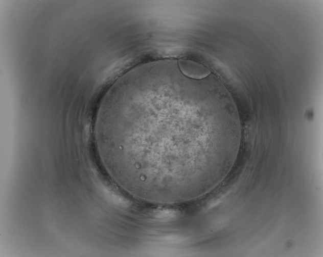 X0000092040741200709191100