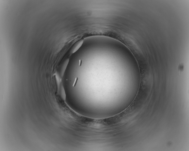 X0000092040743200709191100