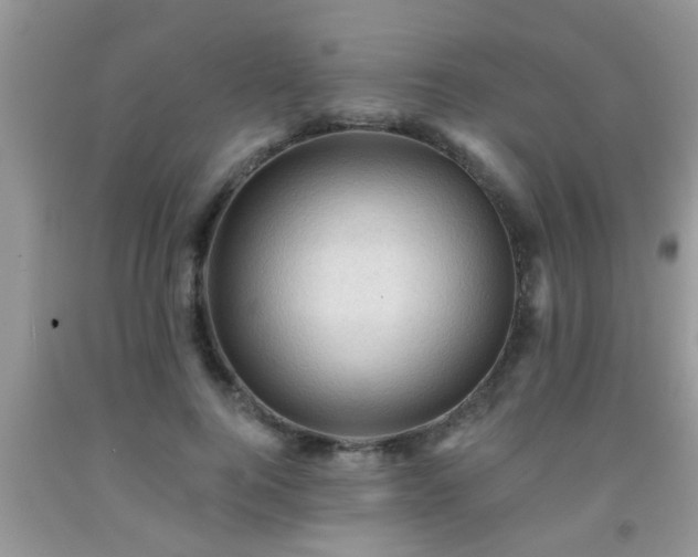 X0000092040744200709191100